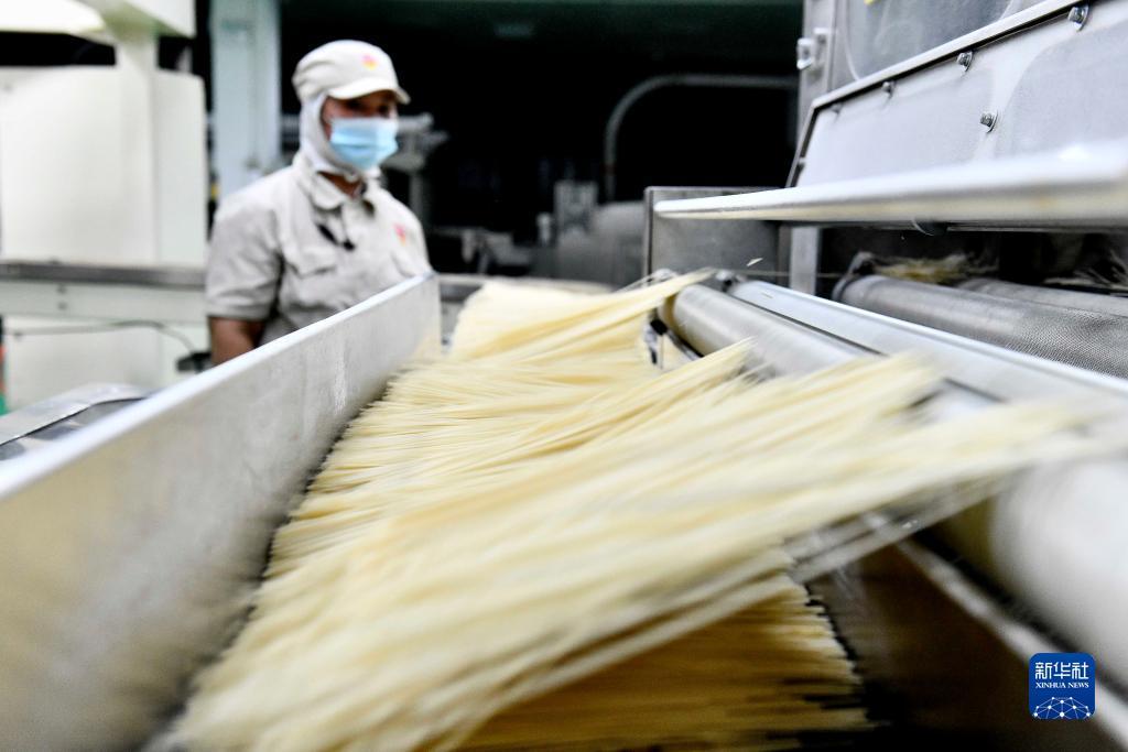 捕鱼大作战电脑版下载